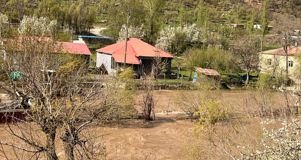 Şırnak'ta Habur çayı taştı evler sular altında kaldı