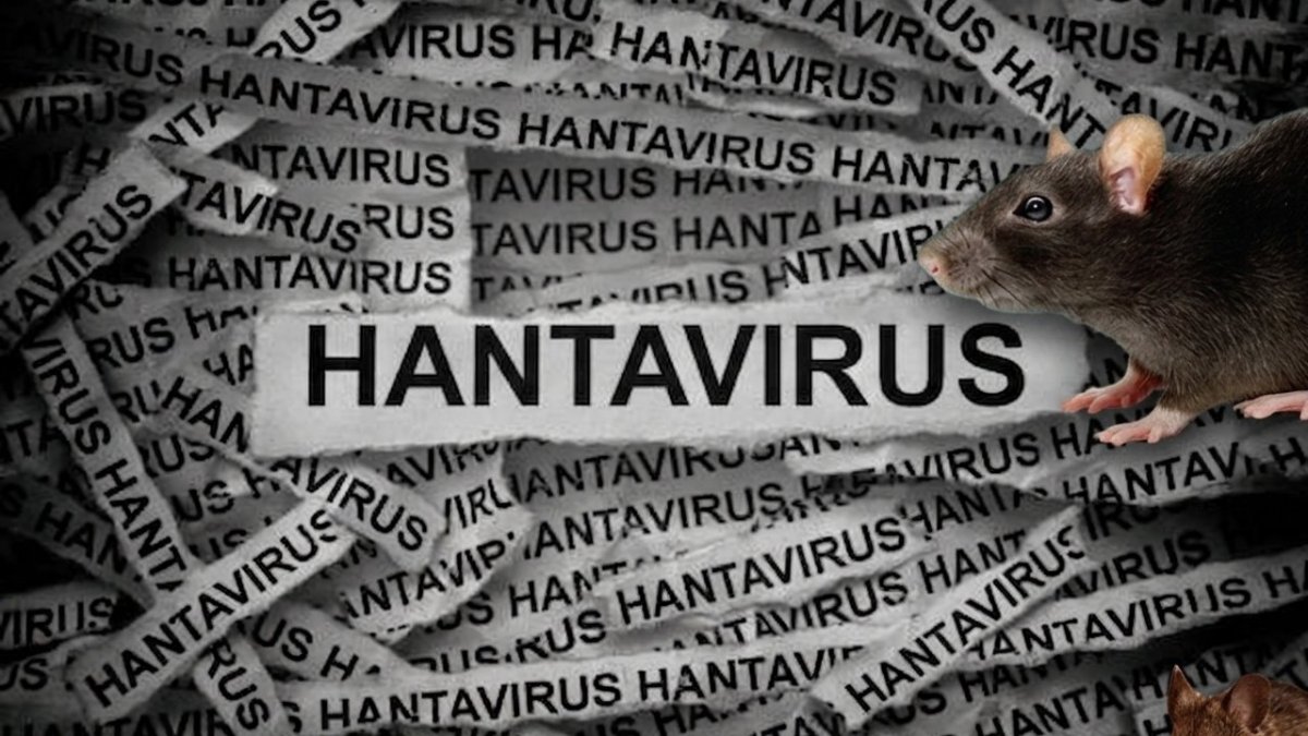 Avrupa’da Hantavirüs alarmı: O ülkede ilk karantina başladı