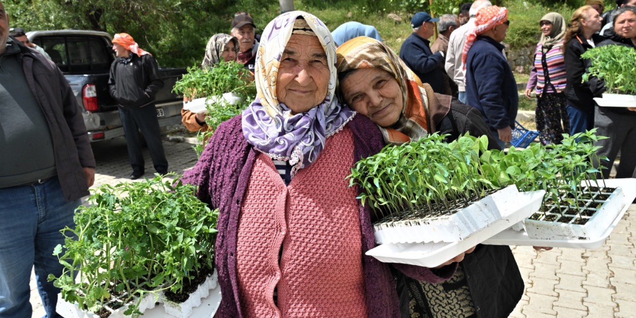 Bornova Belediyesi’nden üreticilere 150 bin sebze fidesi desteği