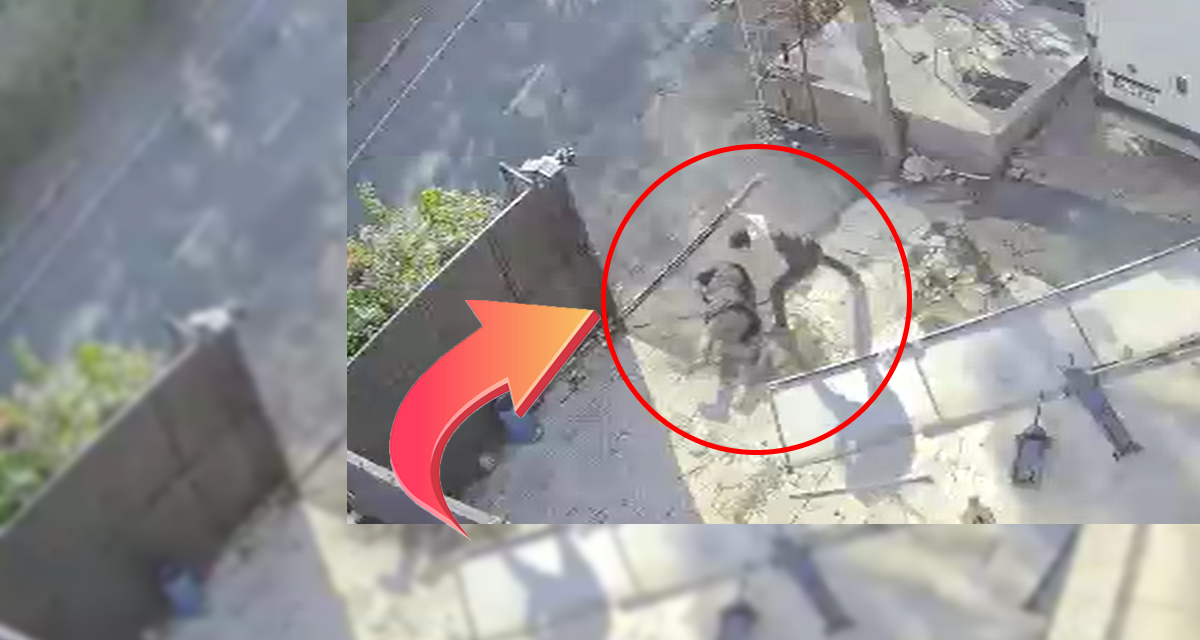 İstanbul'da eski kiracı dehşeti