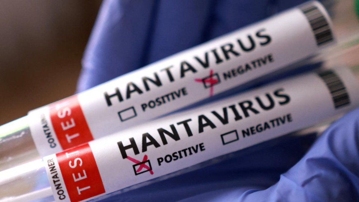 Hantavirüs için aşı hamlesi