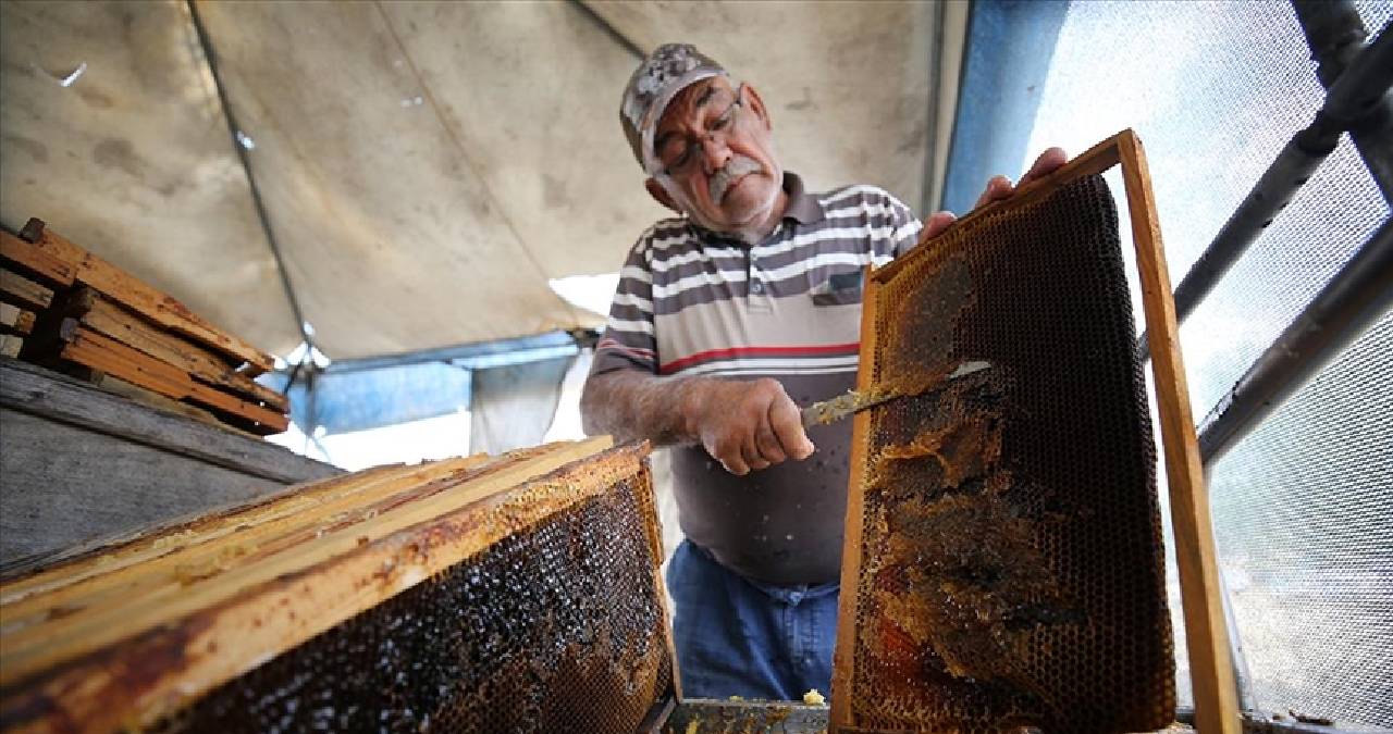 Bakan Yumaklı açıkladı: Koloni sayısında dünyada üçüncü Avrupa’da birinciyiz