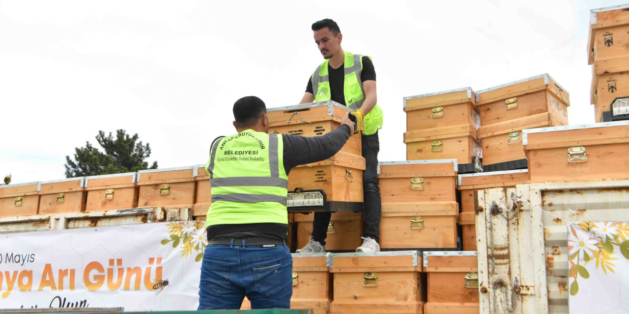 ABB’den arıcılara 5 bin kovan desteği