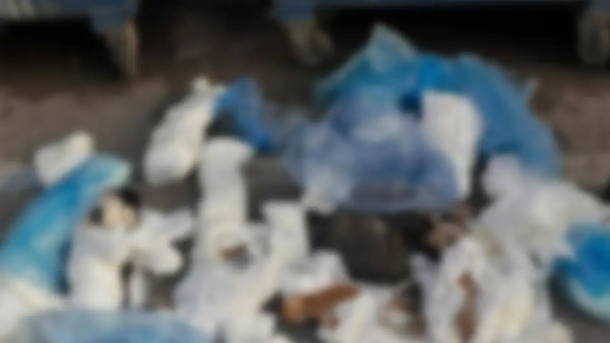 Buca’da vahşet: Poşetlerde 33 kedi ölü bulundu