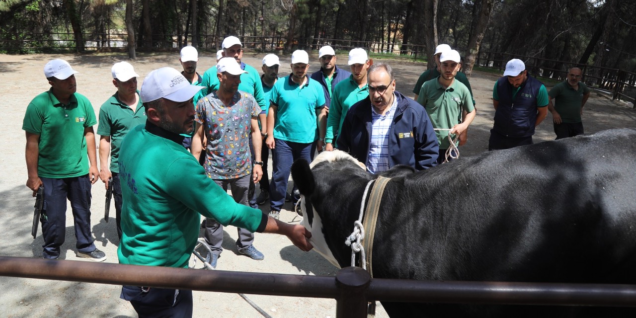 Gaziantep’te kurban bayramı için özel yakalama ekibi kuruldu