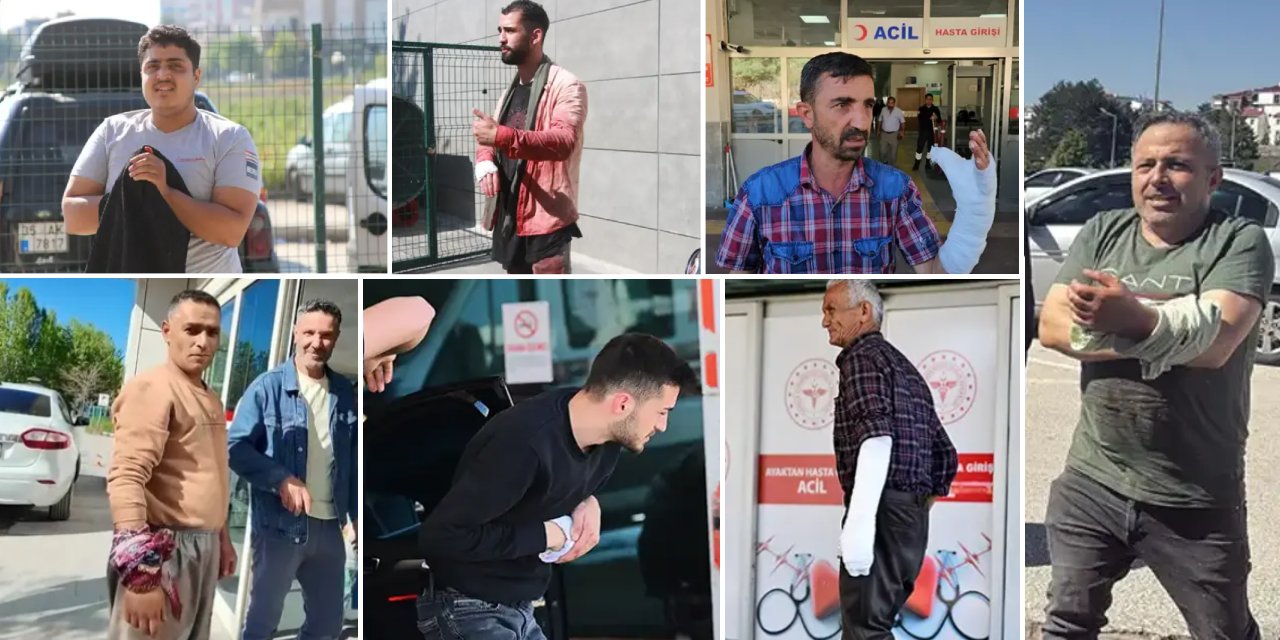 Kurban Bayramı’nda acemi kasaplar hastanelik oldu: İlk haber bu illerden geldi