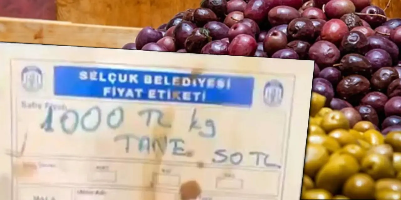Zeytinin tanesi 50 TL, kilosu 1000 TL! Bakanlık devreye girdi