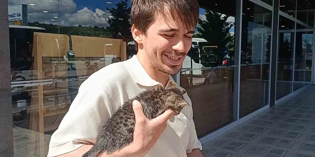 Otobüsün bagajında 3 gün kalan yavru kedi kurtarıldı