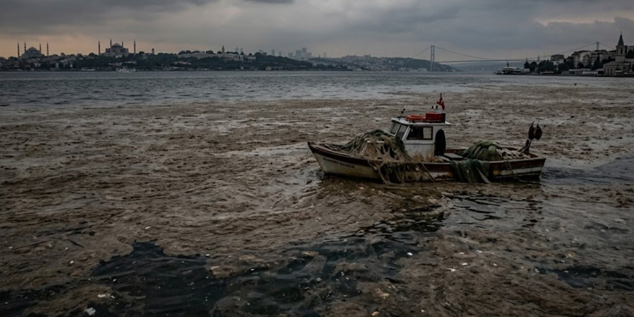 Marmara Denizi’ndeki sinsi tehlike! 2000 yılından bu yana 3 kat arttı: En kritik bölge açıklandı