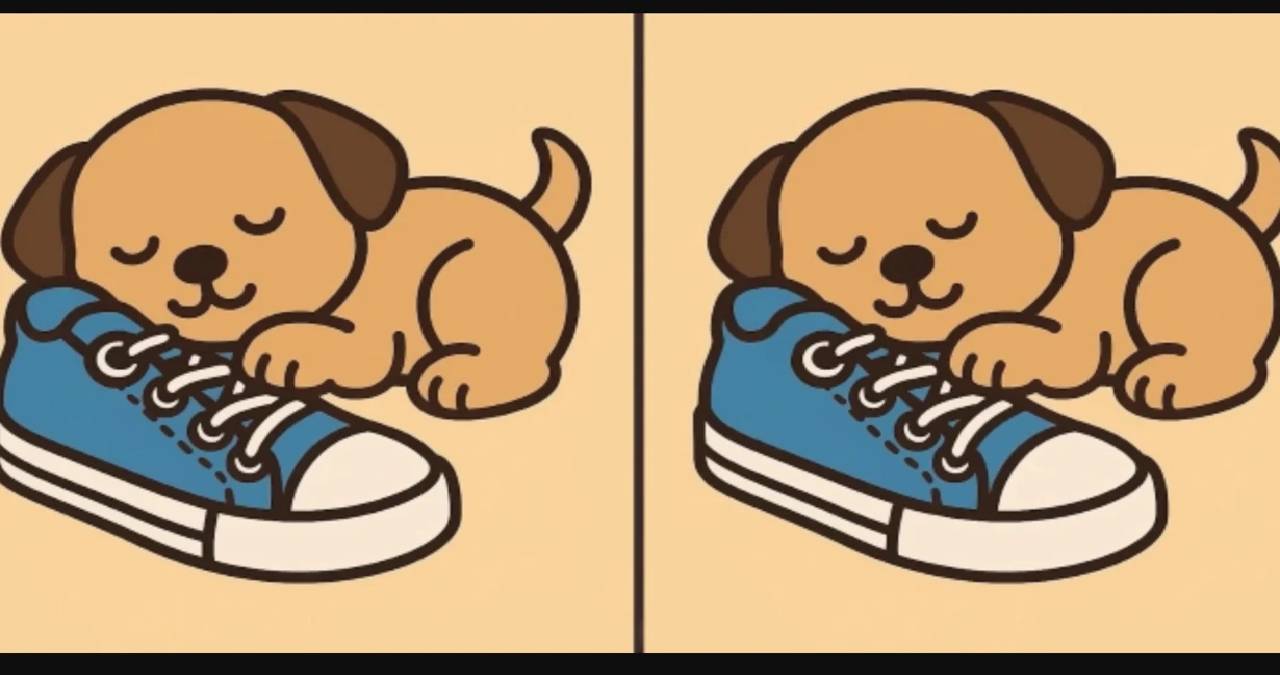 Sadece dikkat kuleleri bulabiliyor: 12 saniyede köpeğin yanındaki 3 gizli farkı çözün!