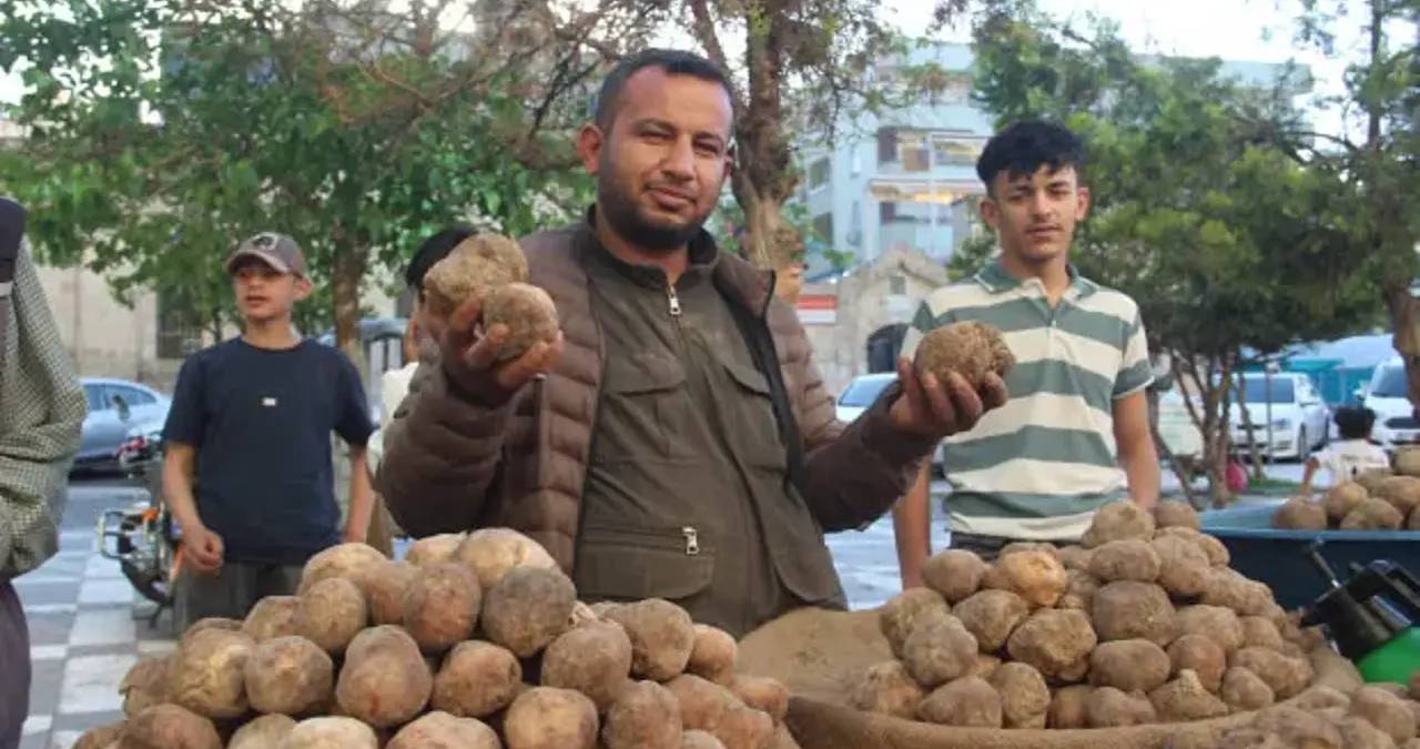 Fiyatı yüksek olsa da kapış kapış satıyor: Tezgahlarda bolluk oluştu, kilosu 2 bin TL