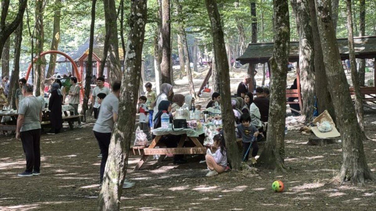 İstanbul'da ormanlara girişler yasaklandı: 15 Ekim'e kadar sürecek