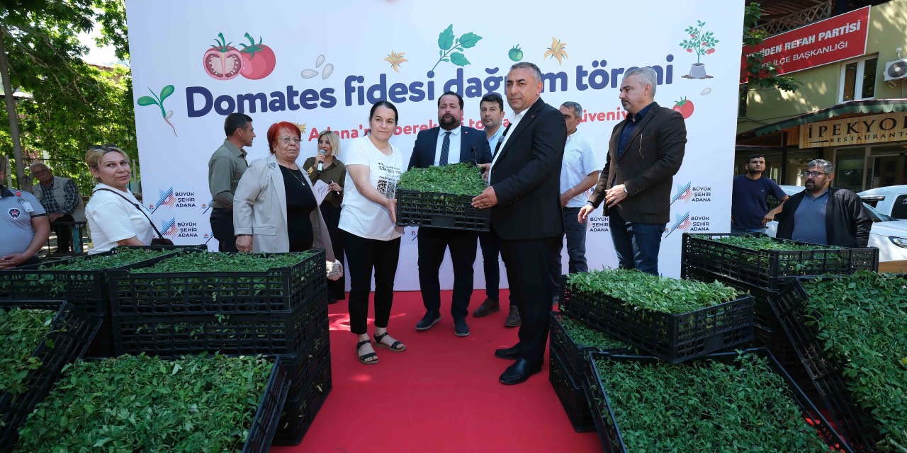 Adana Büyükşehir’den üreticilere domates fidesi desteği