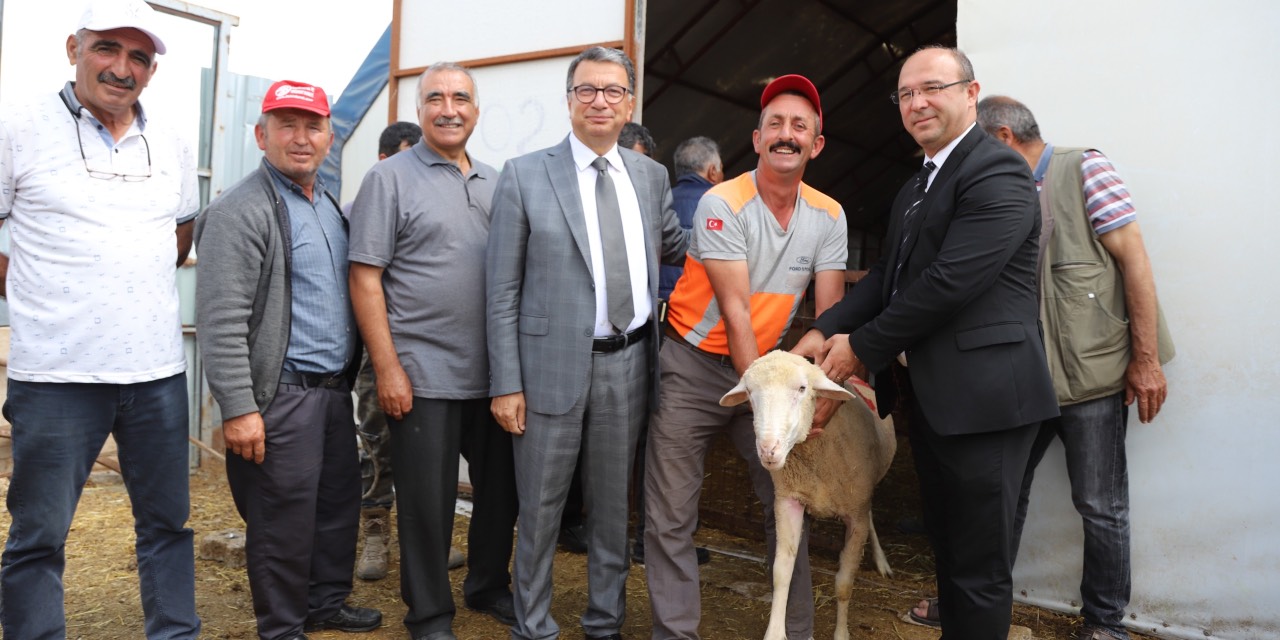 Eskişehir’de üreticilere damızlık koç desteği