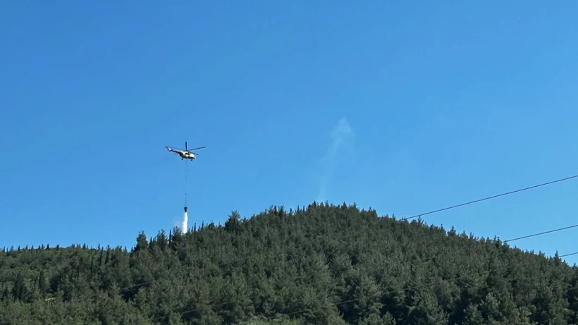 Manisa'da orman yangını