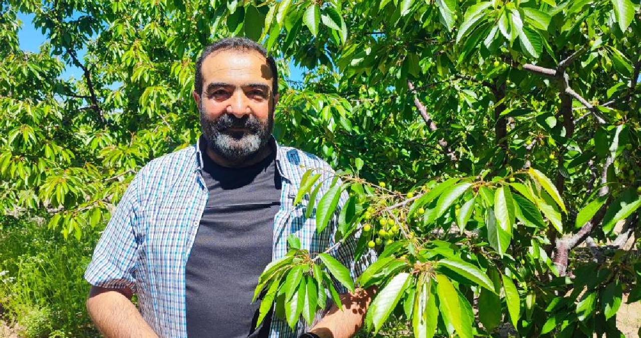 Geçen sene kimse yiyemedi, bu yıl bolluk yaşanıyor: 200 ton rekolte bekleniyor