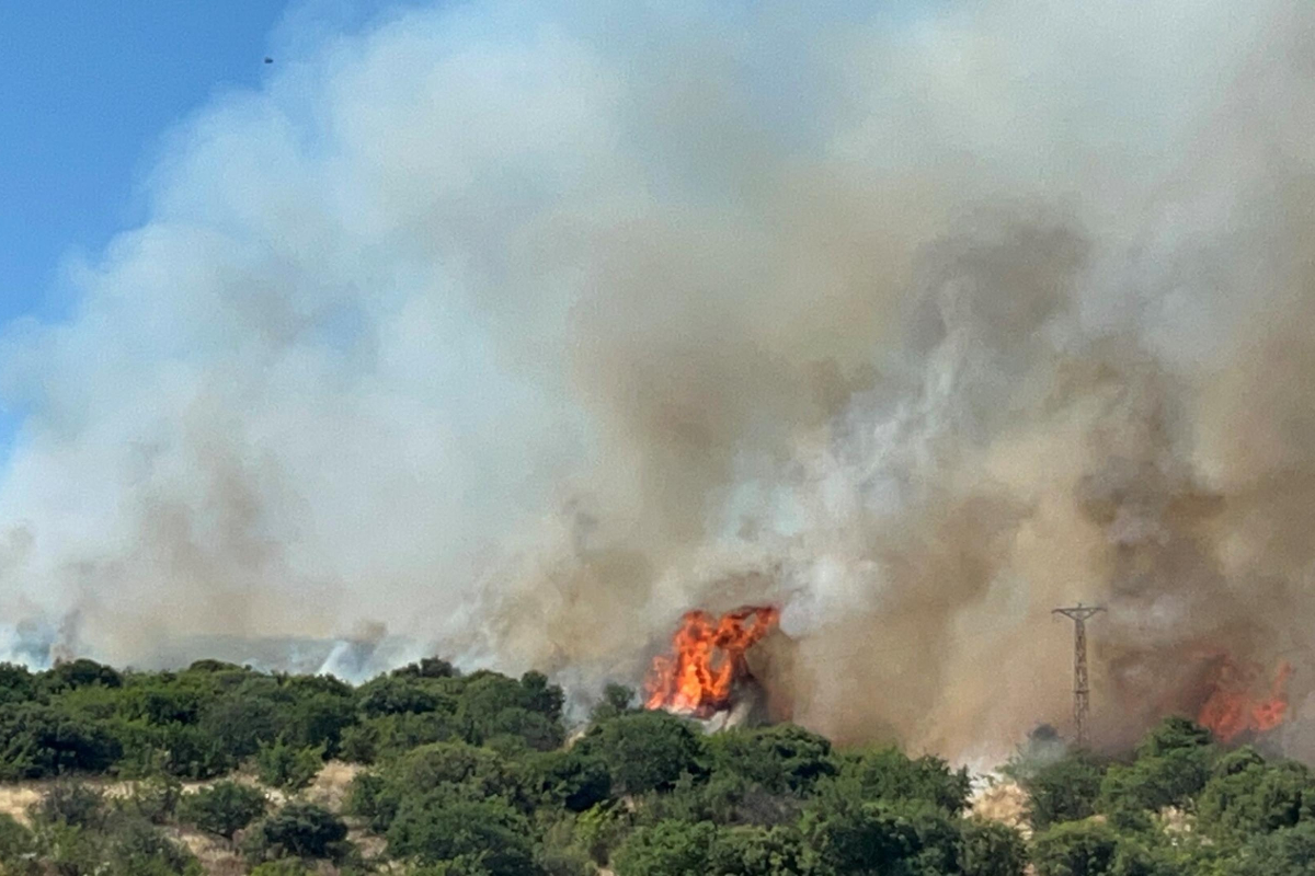 Çanakkale'de orman yangını: Müdahale ediliyor