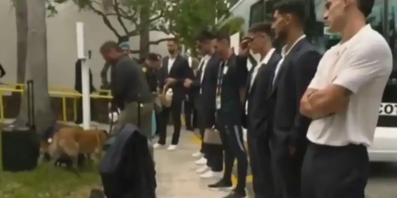 Dünya Kupası tarihinde bir ilk: Yıldız futbolcular K9 köpekleriyle arandı