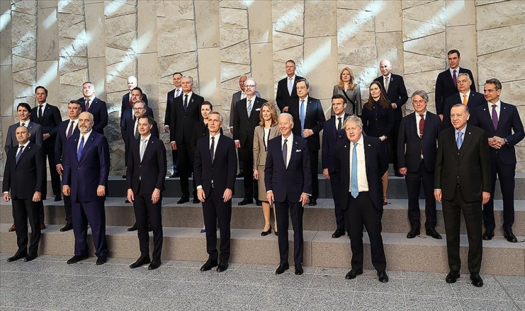 NATO Zirvesi öncesi belediyelere talimat! Sokak köpekleri toplanacak