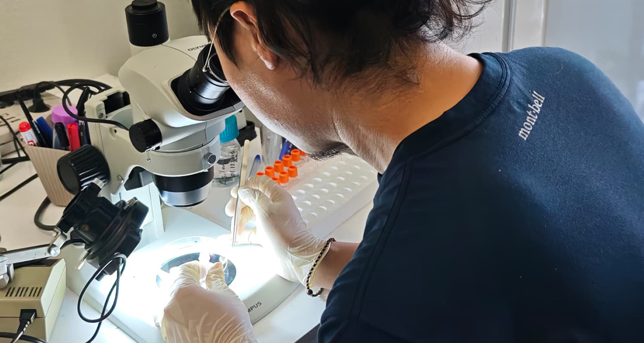Türkiye ve Japonya kene tehdidine karşı güçleri birleştirdi
