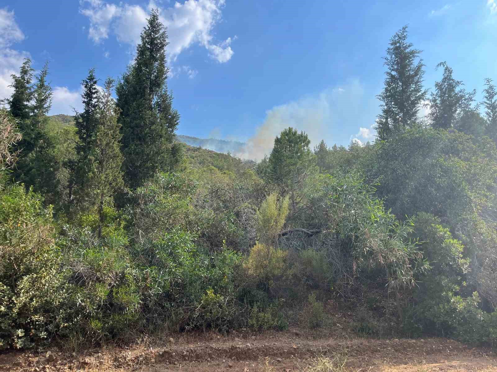 Marmaris'de orman yangını