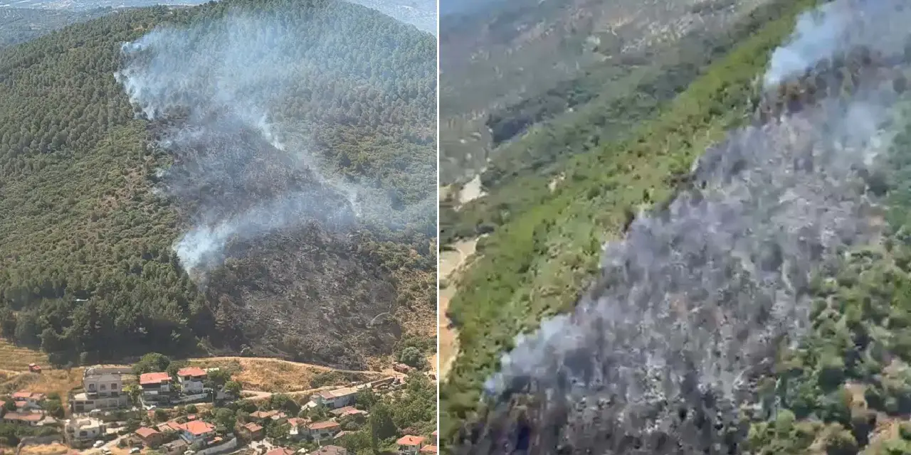 Balıkesir Burhaniye'de orman yangını