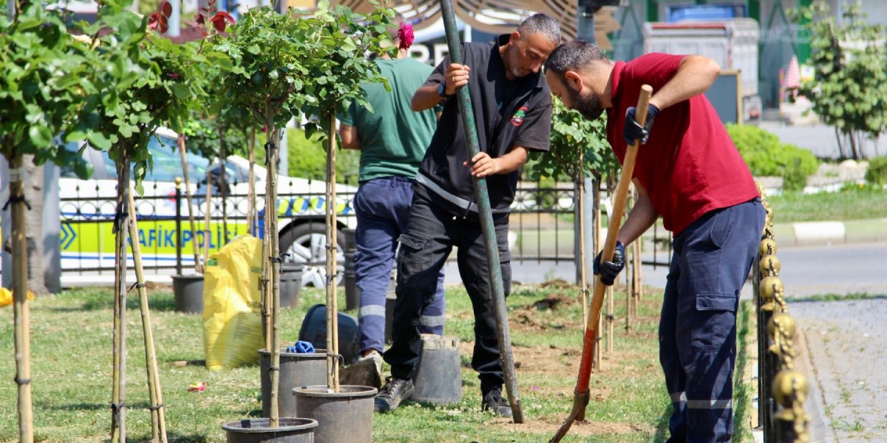 Giresun’da yaz sezonu peyzaj çalışmaları hız kazandı