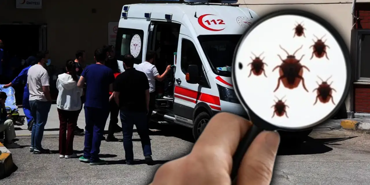 İzmir Devlet Hastanesi'nde 45 gündür çözülemeyen kabus: Kanser ve palyatif hastaları tahtakurularına teslim edildi