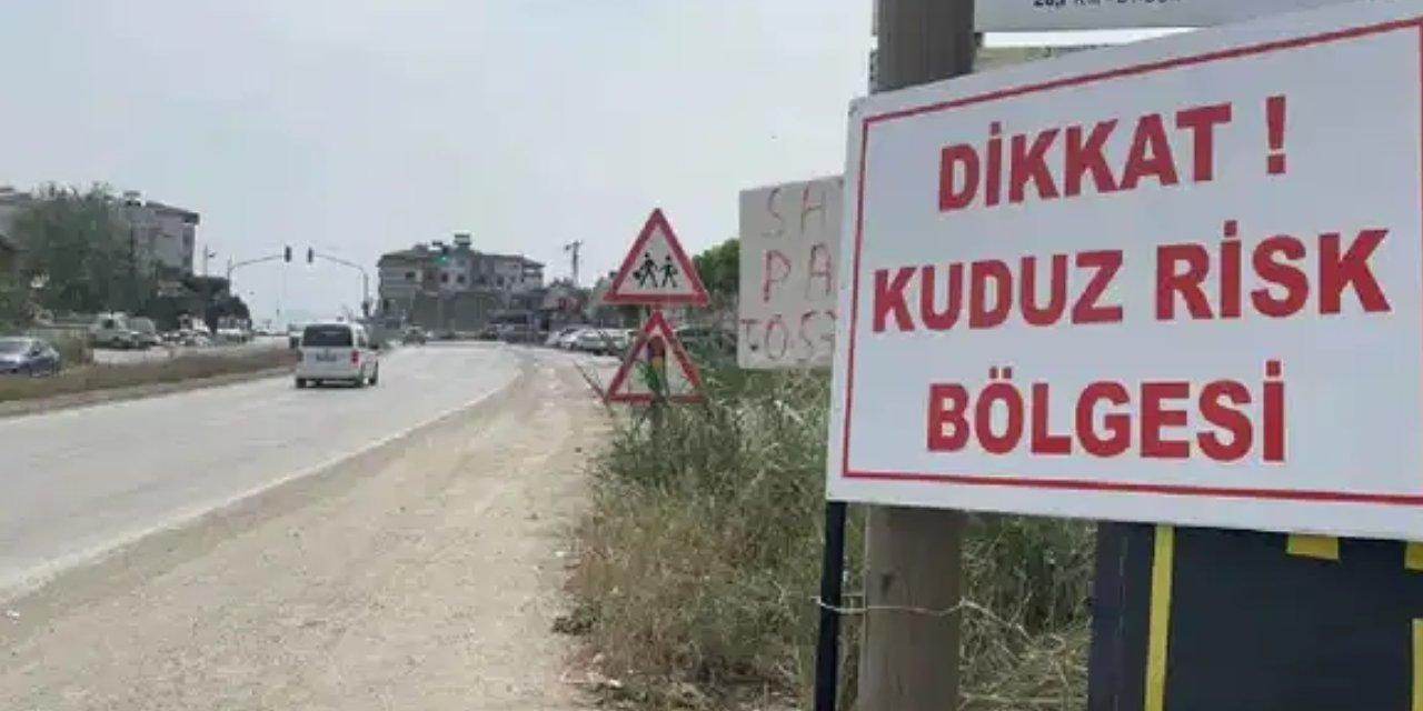 Van'da kuduz alarmı! 7 mahalle karantinaya alındı