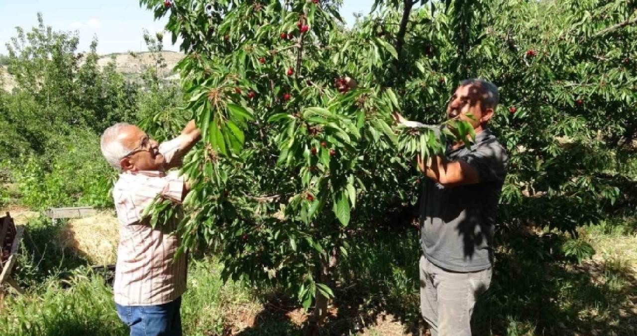Hasadı başladı, üretici zorlandı: Günlük 3 bin TL’ye çalışacak kimse bulamıyorlar