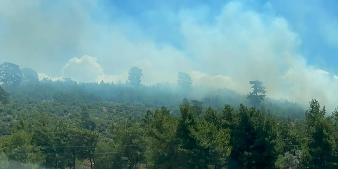 Muğla’da orman yangını