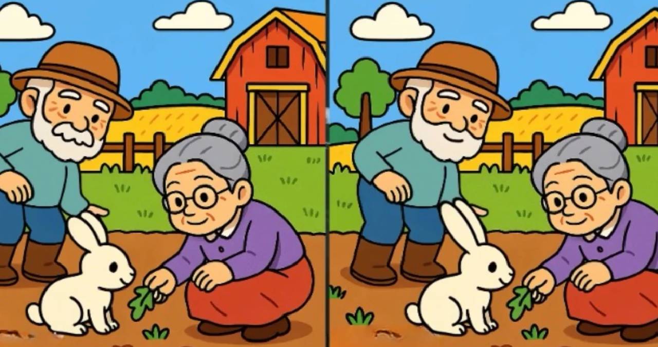 Gözünüze ne kadar güveniyorsunuz? 12 saniyede yaşlı çiftin resmindeki 3 farkı bulun, dehanızı kanıtlayın!