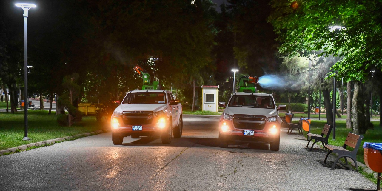 ABB’den sivrisinek ve karasineklere karşı gece ilaçlaması