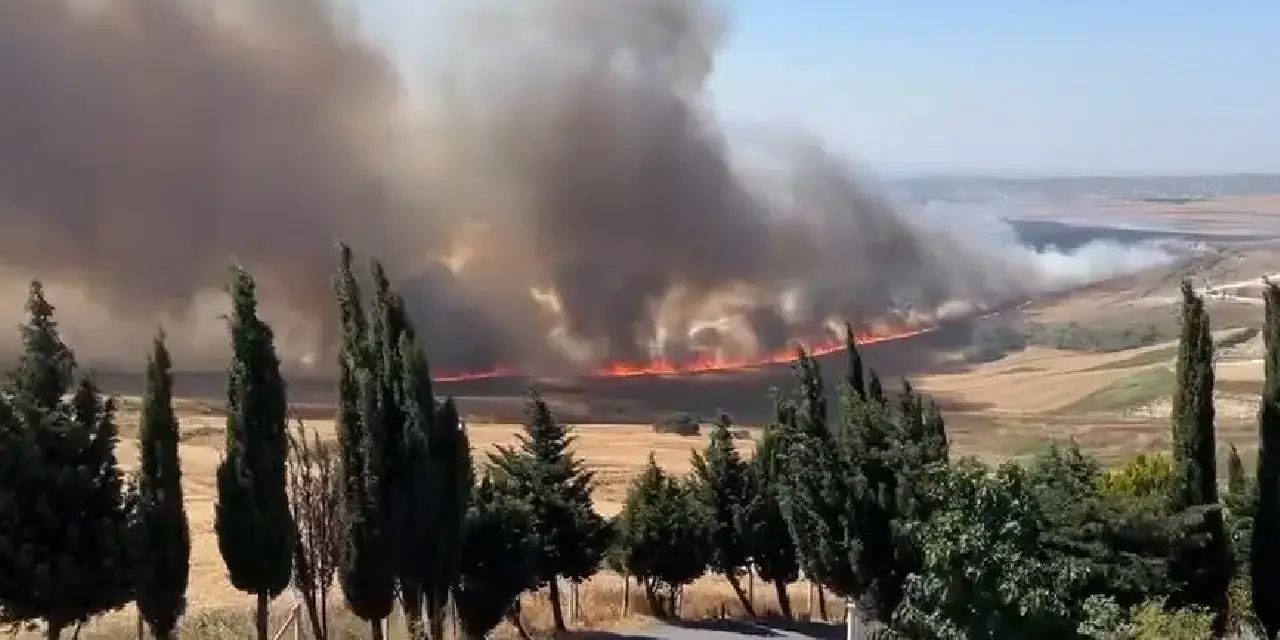 Büyükçekmece yangın paniği: Alevler rüzgarın etkisiyle genişledi