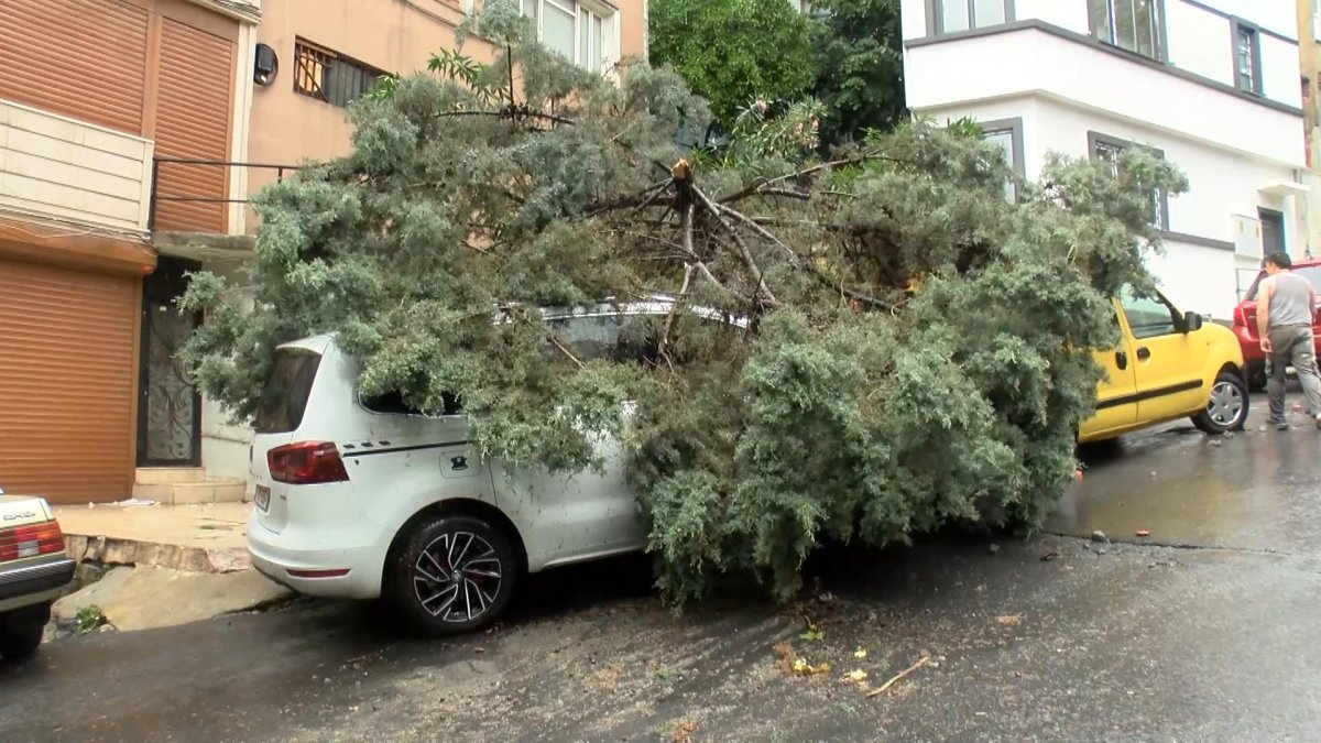 İstanbul'da sağanak hayatı felç etti: Çırağan Caddesi sular altında kaldı, Şişli'de ağaçlar araçların üzerine devrildi