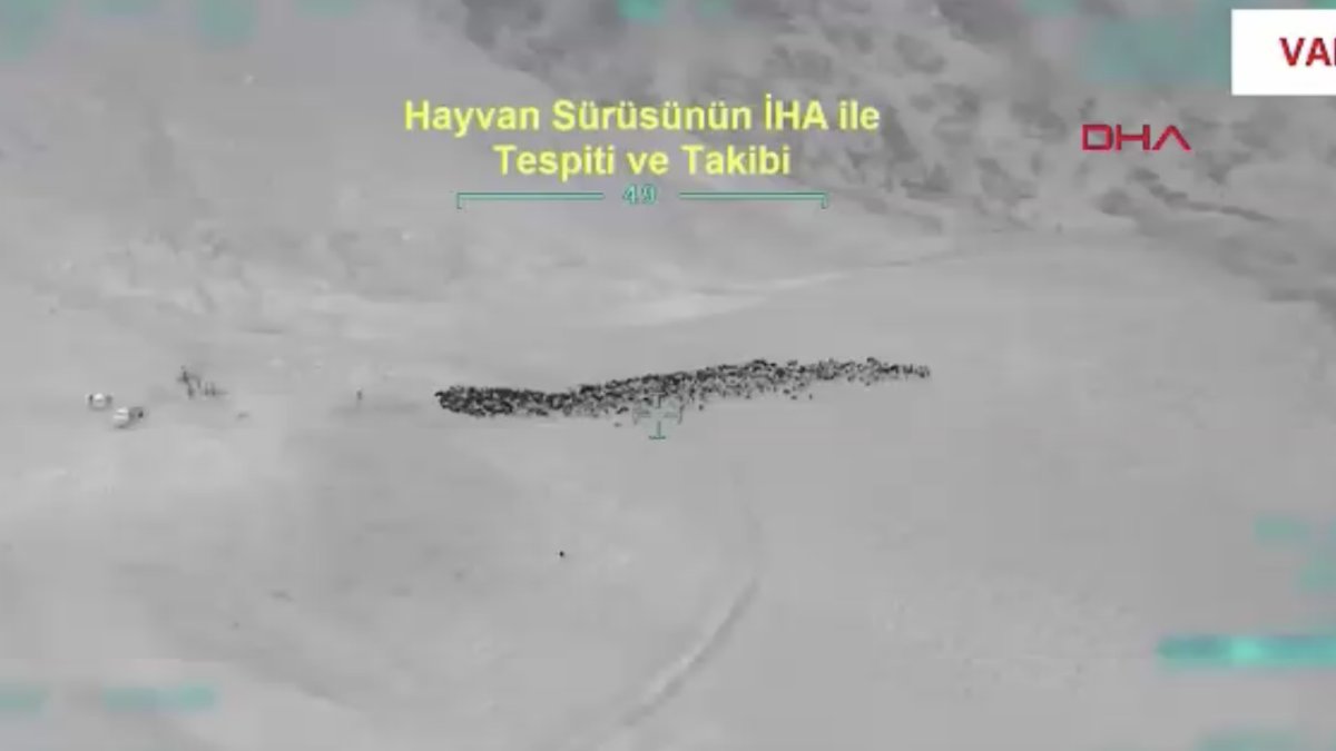 Çobanları silahla tehdit edip 800 küçükbaşı gasp eden 4 şüpheli yakalandı