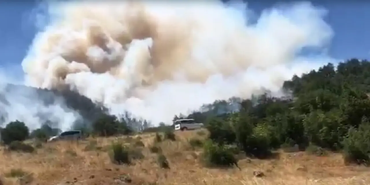 Balıkesir Kepsut'ta orman yangını: Ekipler zamanla yarışıyor