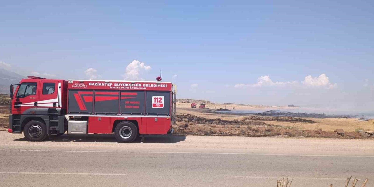 Gaziantep'te anız yangını korkuttu