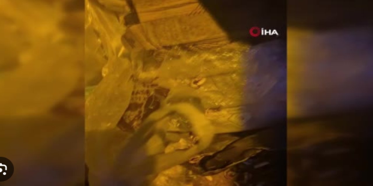 Eskişehir'de kan donduran olay: Ağzını bantlayıp çöpe atmışlar