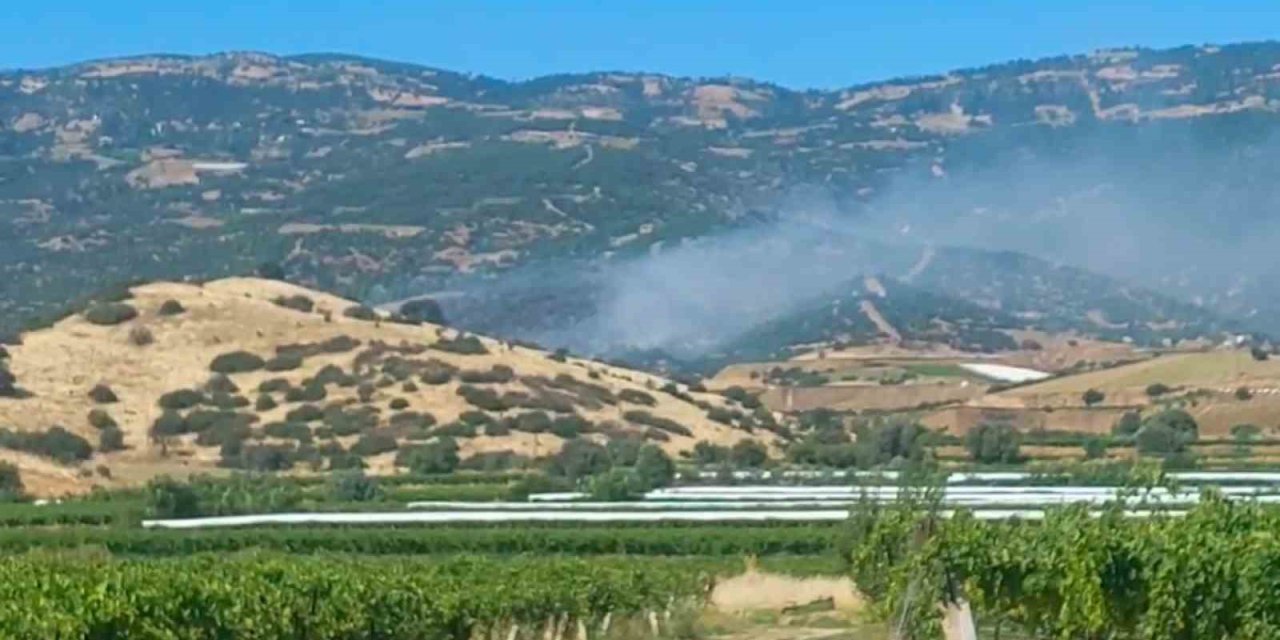 Manisa'da orman yangını