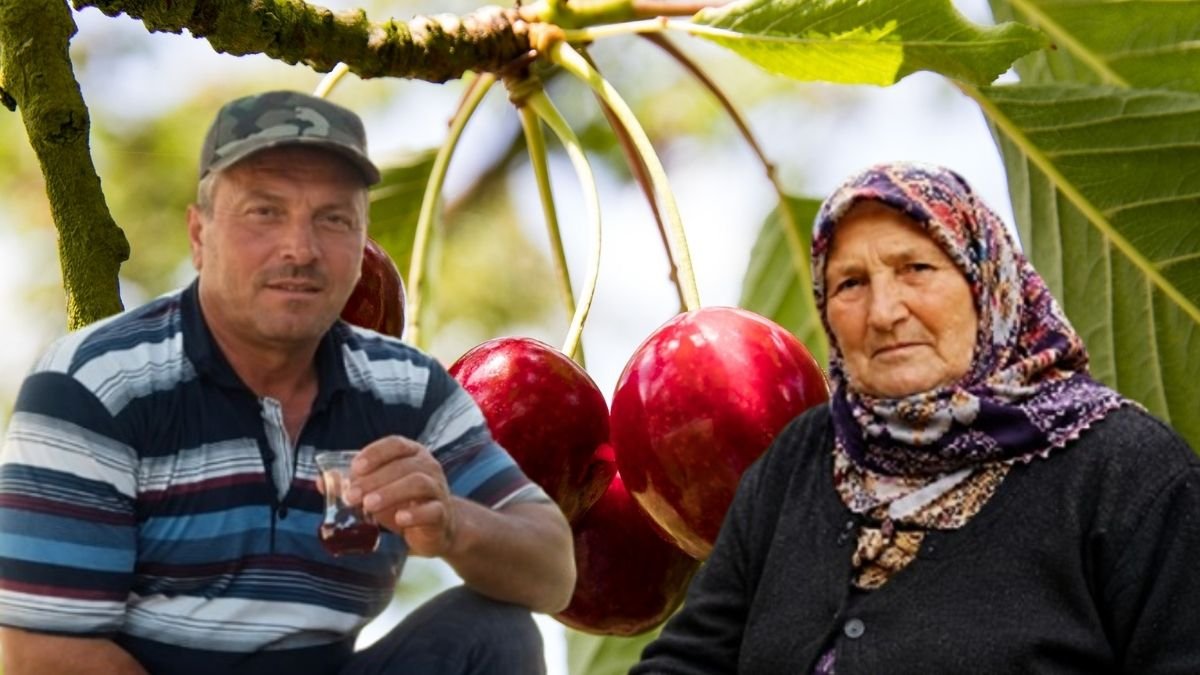 Kastamonu'da kiraz yiyen karı koca 11 gün arayla hayatını kaybetti