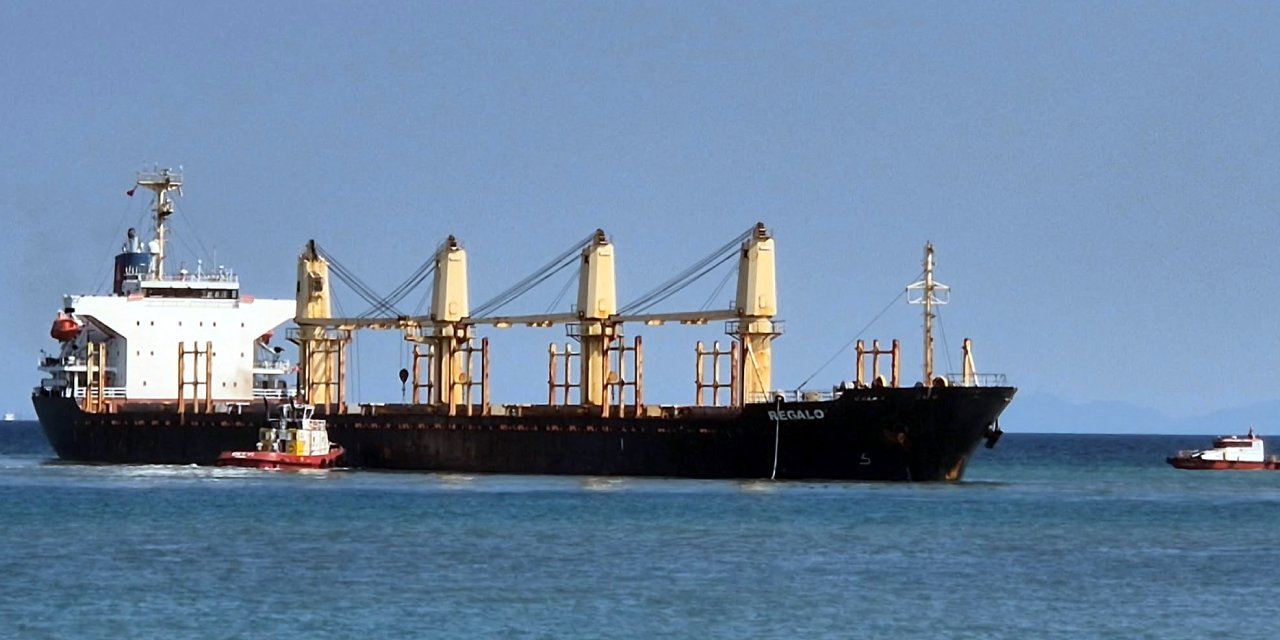 Marmara Denizi'nde yük gemisi karaya oturdu! Ekipler alarma geçti