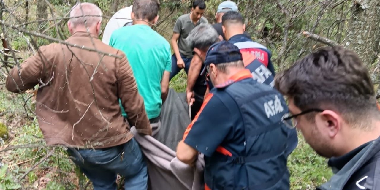 Sarı kantaron toplamak için çıktığı dağda acı son