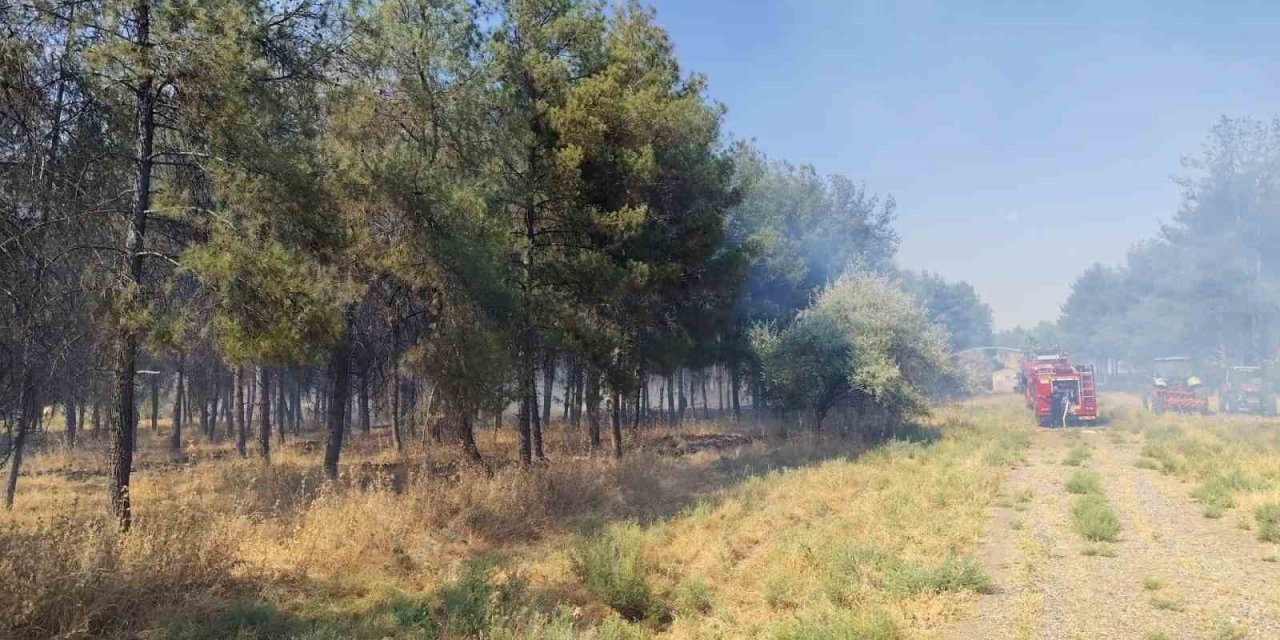 Dicle Üniversitesi'nde yangın