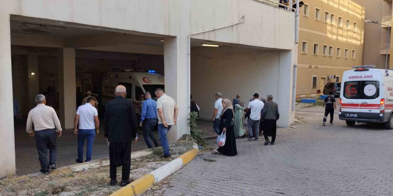 Fırat Nehri'nde acı son: İki kardeş boğuldu