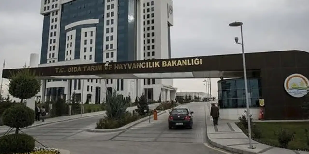 Tarım ve Orman Bakanlığı 1.874 sözleşmeli personel alımı başlıyor