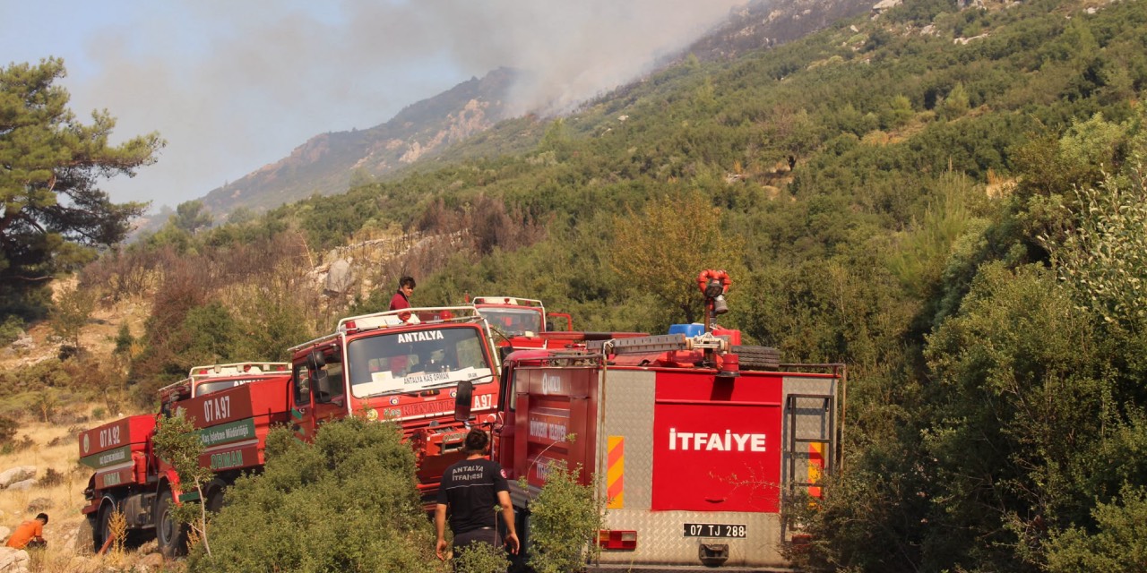 Antalya Büyükşehir Belediyesi yangın bölgesinde çalışmalarını sürdürüyor