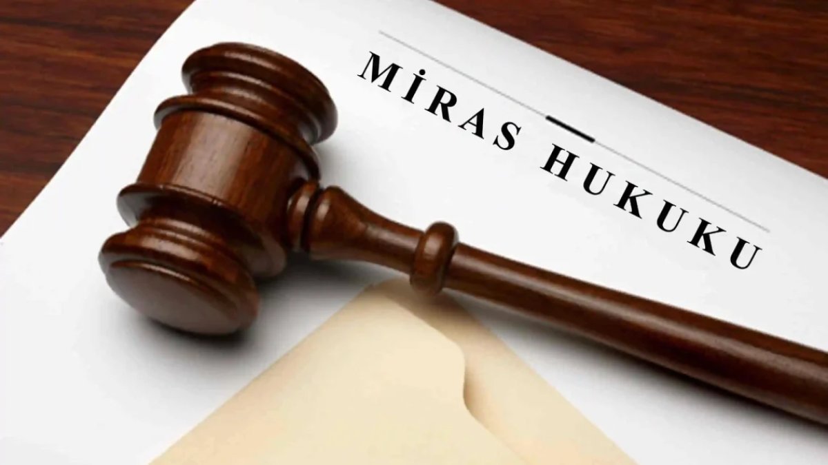 Yargıtay'dan emsal miras kararı: Dedesine bakmayan torun arsayı kaybetti