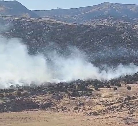 Adıyaman'da orman yangını alarmı