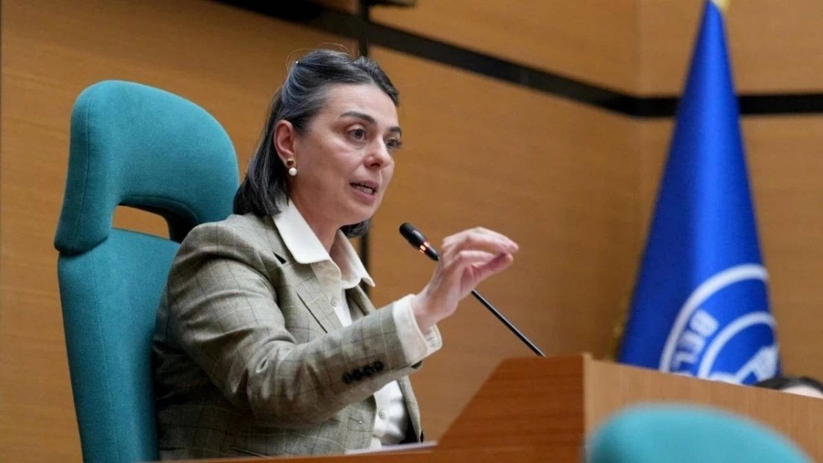 Sinem Dedetaş'tan gözaltı sonrası ilk açıklama
